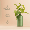 LAO Care - Shampoing Clarifiant et Purifiant à l'Ortie - 200ml