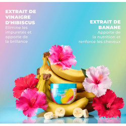Tropical Detox - Masque Purifiant et Détoxifiant 4 en 1 - Nouvelle formule