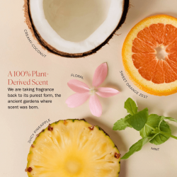 Bounce curl - Weightless shampoo - Shampoing Clarifiant Activateur de Boucles-